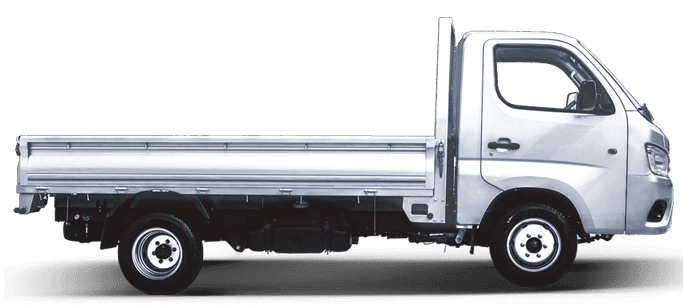 Foton TM