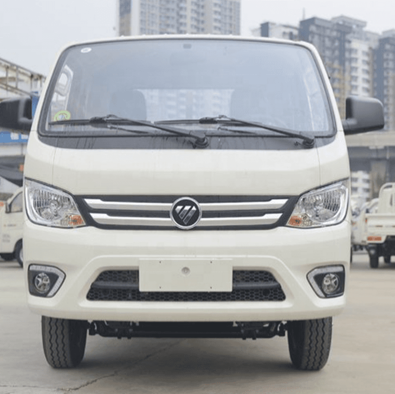 Foton TM - miniature 8